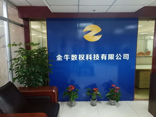 金牛区县级运营服务公司成立，文化经纪人服务开启新篇章